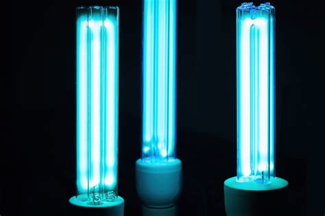 From Bruises to Cuts: Can UV Lamps Offer a Magic Cure for Wound Healing?